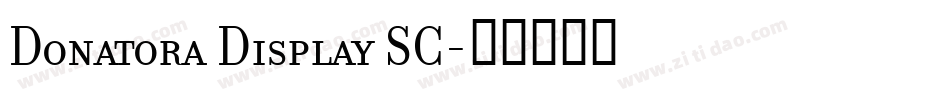 Donatora Display SC字体转换